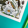 Alexia Claire Ponds of Britain | Postcard | Conscious Craft